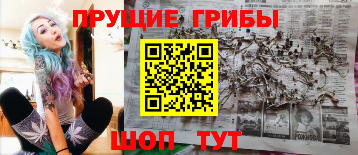 Галлюциногенные грибы Psilocybe Ноябрьск
