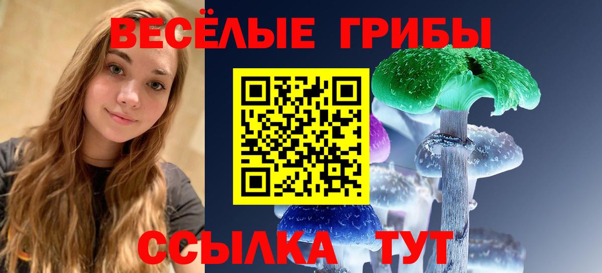 Псилоцибиновые грибы GOLDEN TEACHER  Вход с VPN  даркнет сайт  Ноябрьск 